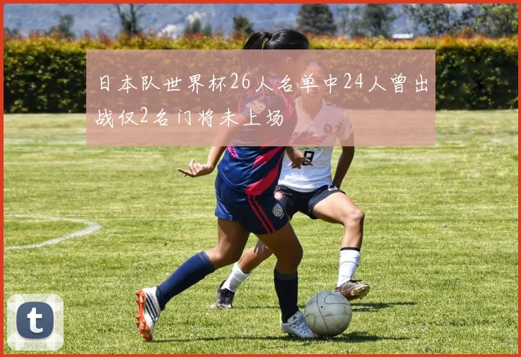 日本队世界杯26人名单中24人曾出战仅2名门将未上场