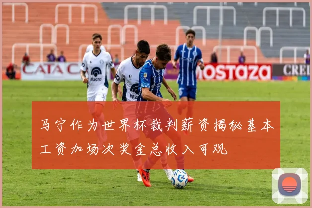 马宁作为世界杯裁判薪资揭秘基本工资加场次奖金总收入可观
